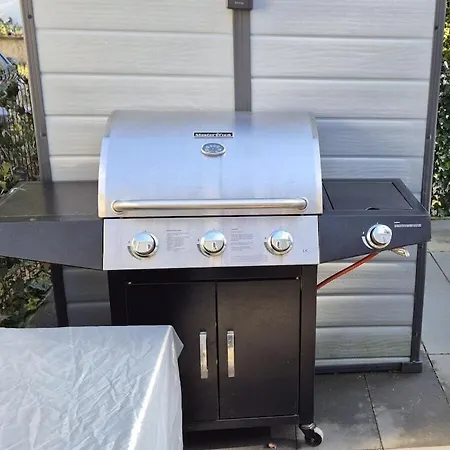 The Veluwse Forest *