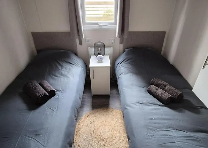 Chalet The Veluwse Forest