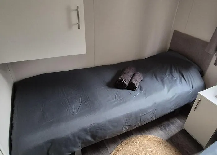 The Veluwse Forest Hoenderloo