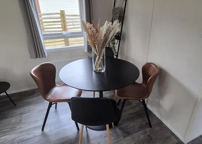 The Veluwse Forest Hoenderloo