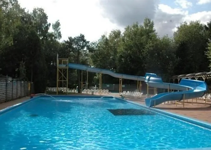 Chalet The Veluwse Forest